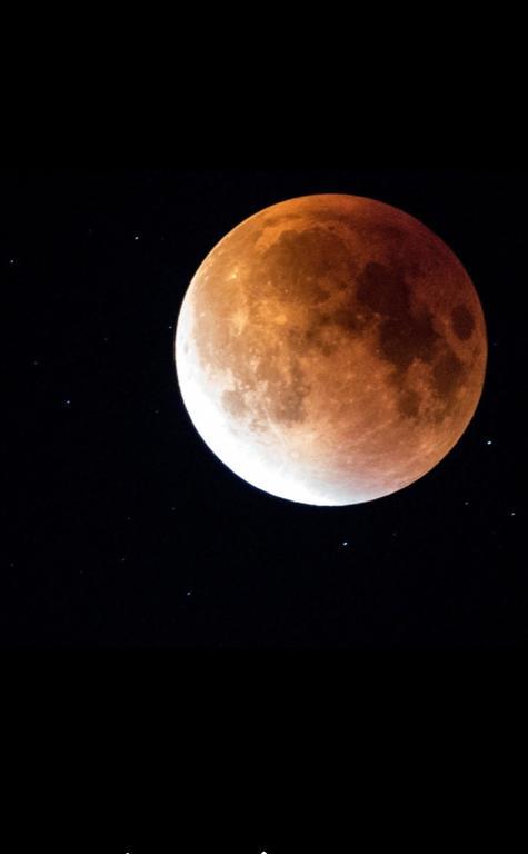 Luna Costinesti Bagian luar foto