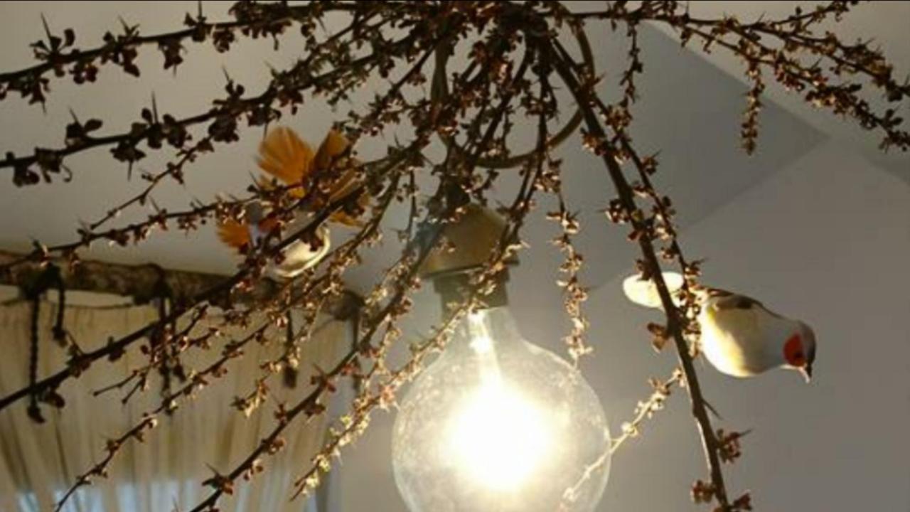 Luna Costinesti Bagian luar foto